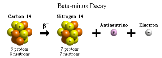 Μηχανισμός διάσπασης τύπου β - (negatron) Ένα νετρόνιο μέσα στον ραδιενεργό πυρήνα του 14 C, διασπάται σε 1 πρωτόνιο, 1 ηλεκτρόνιο και 1 αντινετρίνο : Νετρόνιο -> πρωτόνιο (p) + ηλεκτρόνιο (e) +