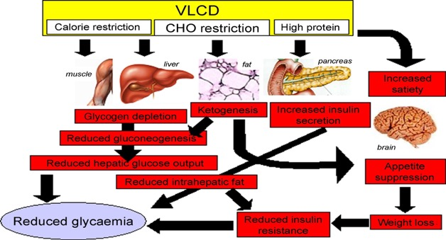 Επιδράσεις της Very-Low-Calorie-Diet (VLCD) στη γλυκαιµία Baker et al.