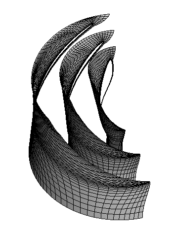 considered in order to generate the 3D