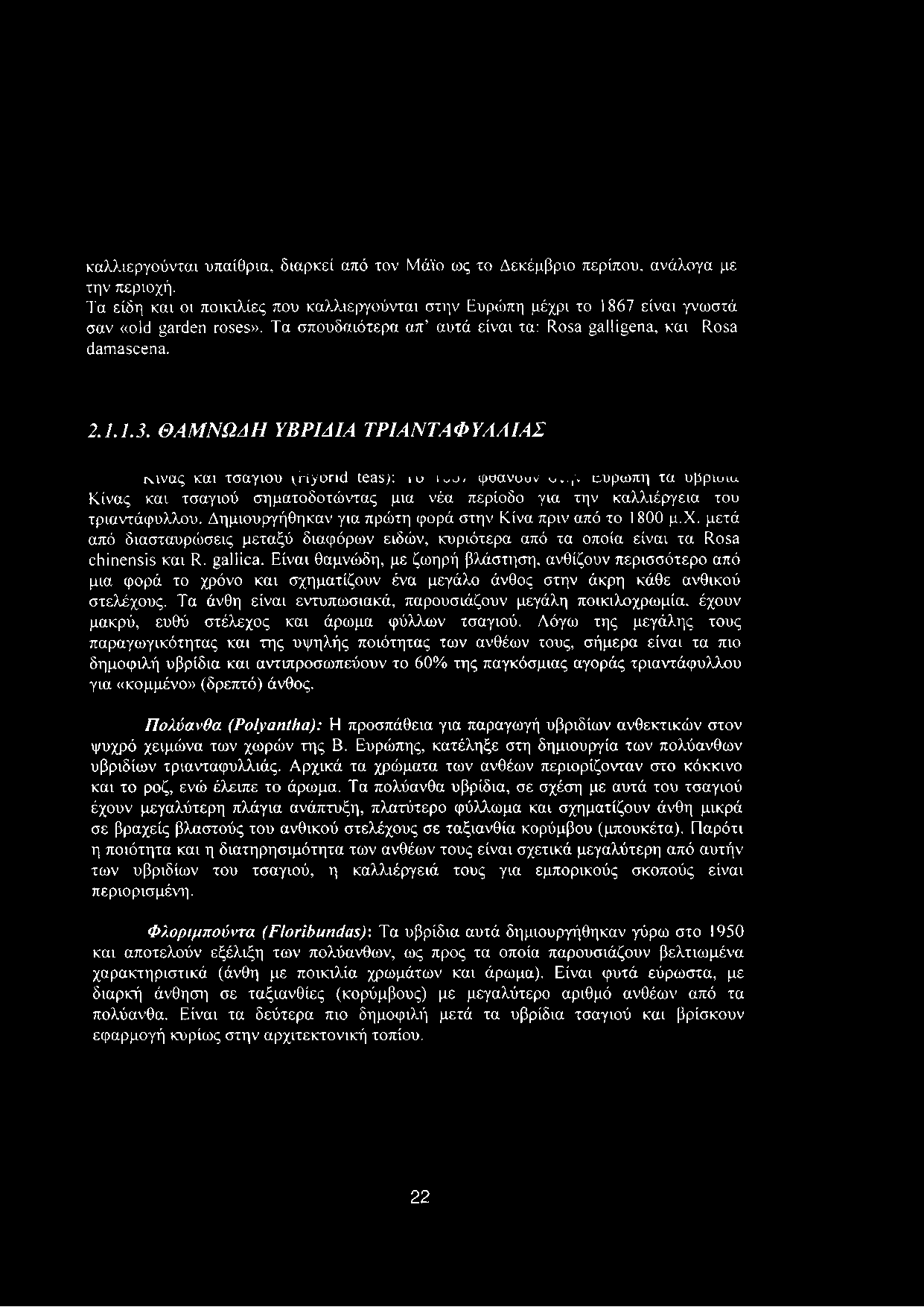 ΘΑΜΝΩΔΗ ΥΒΡΙΔΙΑ ΤΡΙΑΝΤΑΦΥΑΑΙΑΣ ρανας και τσαγιού (Hyorid teas): ίυ toó? φυανουν ο,.,ν Ευρώπη τα υβριοια Κίνας και τσαγιού σηματοδοτώντας μια νέα περίοδο για την καλλιέργεια του τριαντάφυλλου.