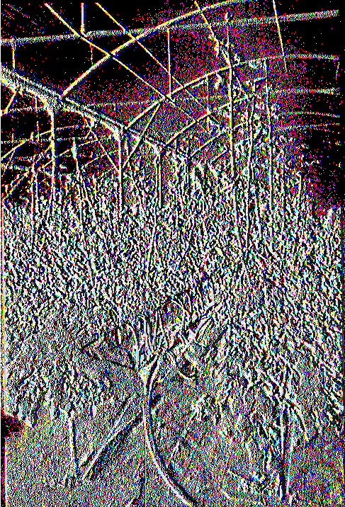 ικ ή κ α λ