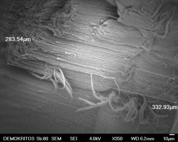 κύματος ακτινοβολίας laser στα 514 nm. (α) (β) (γ) (δ) Σχήμα 4.