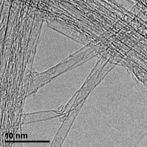 Η μετρήσιμη διάμετρος των 16.1 nm πιθανότατα αναφέρεται σε δεσμίδες νανοσωλήνων.