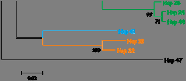 τιμές bootstrap (1000 επαναλήψεις) ) που