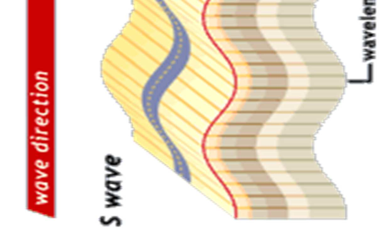 Υπό την παραδοχή ότι ο σεισμικός κραδασμός αποτελείται, στη μονοδιάστατη ανάλυση, μόνο από κατακορύφως διαδιδόμενα διατμητικά κύματα εισάγονται στο έδαφος παραμορφώσεις διατμητικές που έχουν τη μορφή