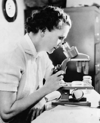 Silent Spring (Rachel Carson, 1962) Κύριο θέµαηεισχώρησηχηµικών ουσιών στη φύση και κυρίως στην τροφική αλυσίδα Η θεωρία της ανέδειξε τη ρύπανση του αέρα, των υδάτων και του εδάφους από τοξικές
