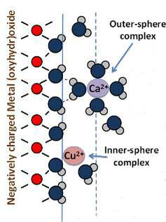 Προσρόφηση (adsorption) ορίζεται η απομάκρυνση ενός ιόντος στην επιφάνεια ενός στερεού σωματιδίου, χωρίς τη δημιουργία μιας τυπικής τρισδιάστατης μοριακής δομής, χαρακτηριστικής για ένα ορυκτό.