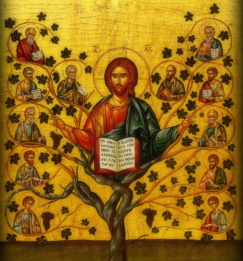 Pastor Parish President Stewardship Chairman Pastoral Assistant Pastor Emeritus Parish Nurse Office Manager Secretary Office: Fr. Christopher P. Foustoukos Email: frchris@stvasilios.org Mrs.