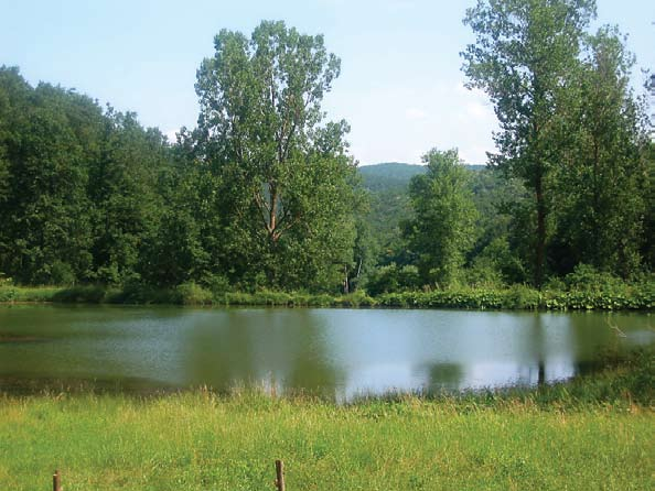 Gjendja e Ujërave