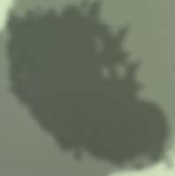TEENINDAJAID See o n 10 0 hea ka rmag a