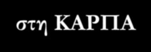 Η συμβολή της υπερηχοκαρδιογραφίας στη ΚΑΡΠΑ Δημήτριος Ν.