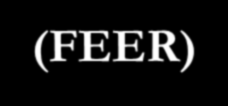 Focused Echocardiographic Evaluation in Resuscitation management (FEER) Breitkreutz R.