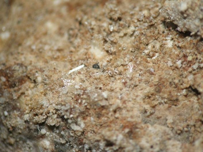 Κλίμακα: Η μεγάλη διάσταση της εικόνας είναι 11mm Με βάση τα αποτελέσματα της περιθλασιμετρίας ακτίνων Χ (Εικόνα 5.1.17γ), το δείγμα Δ17 αποτελείται κυρίως από αλίτης (45% κ.β), ασβεστίτη (35% κ.