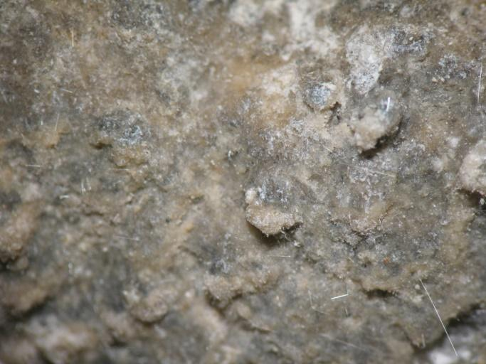 Κλίμακα: Η μεγάλη διάσταση της εικόνας είναι 11mm Περιθλασιμετρία ακτίνων Χ (XRD) Με βάση τα αποτελέσματα της περιθλασιμετρίας ακτίνων Χ (Εικόνα 5.1.19γ), το δείγμα Δ19 αποτελείται κυρίως από γύψο (62% κ.