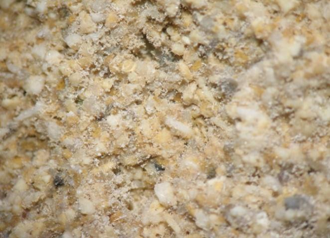 Εικόνα 5.1.21β: Φωτογράφηση του δείγματος 21 σε στερεοσκόπιο.