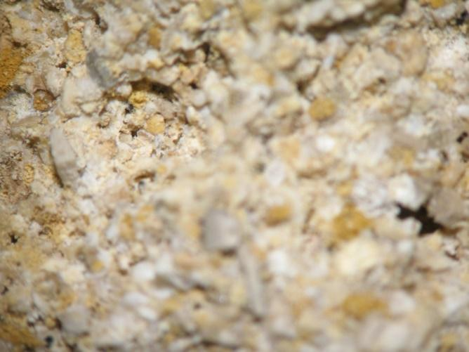 Δείγμα Δ23 Μακροσκοπική Στερεοσκοπική Παρατήρηση Αποτελεί δείγμα ιδιαίτερα εύθρυπτου, πορώδους δομικού λίθου ο οποίος μακροσκοπικά (Εικόνα 5.1.23α) έχει γκριζοκίτρινο χρώμα.