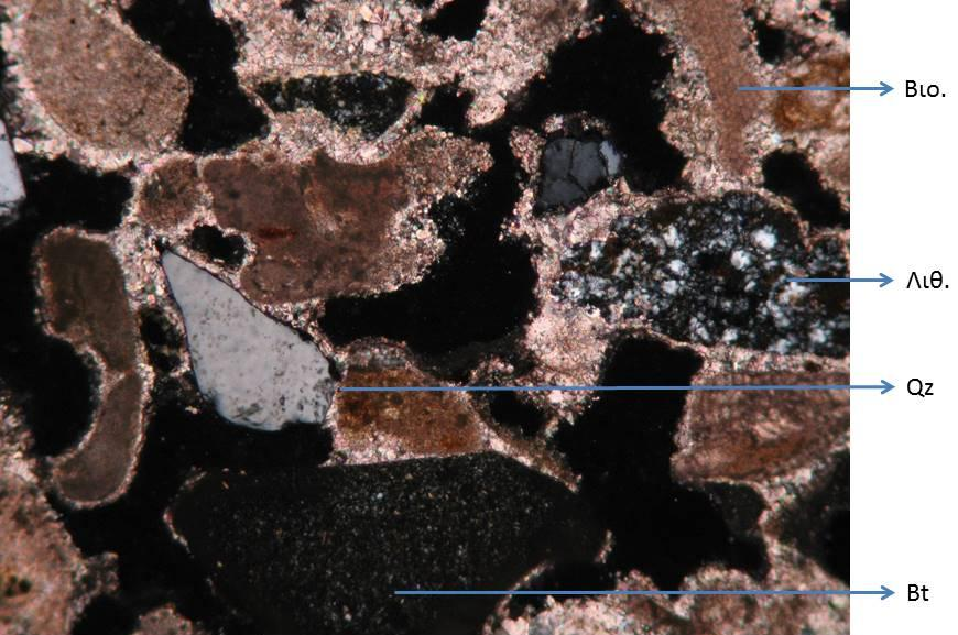 5mm. Εικόνα 5.1.27ζ: Μικροσκοπική παρατήρηση ( ) δείγματος Δ27. Βιο.