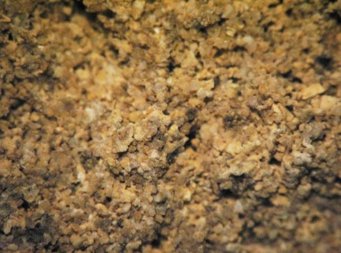 Έχει μέσο όρο μεγέθους κόκκων 0,3 mm και μέγιστο μέγεθος κόκκων 1 mm, ενώ ο βαθμός κρυσταλλικής τελειότητας του είναι υπιδιόμορφος.