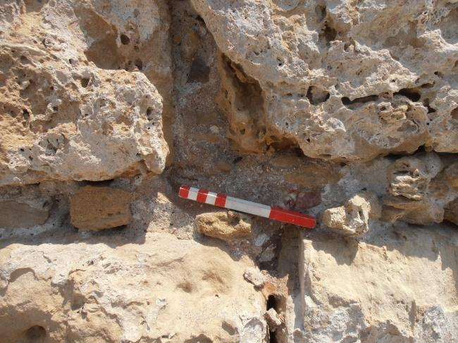 Δείγμα 17 Προέλευση: Κύπρος/Κάστρο Πάφου/Δυτική εξωτερική τοιχοποιία. Ημερομηνία δειγματοληψίας: 13/8/14. Καιρικές συνθήκες (θερμοκρασία, υγρασία): Θερμοκρασία 32 ο C, Υγρασία 80%.