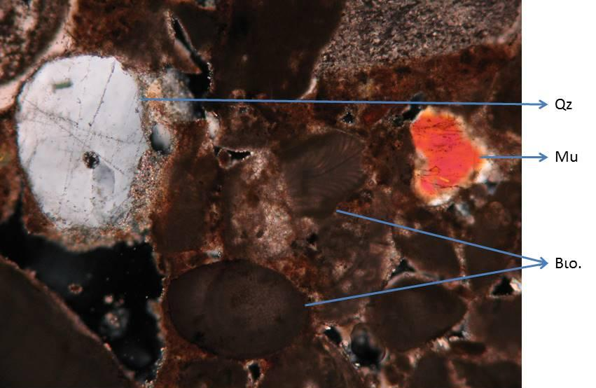5mm. Στις φωτογραφίες 5.1.