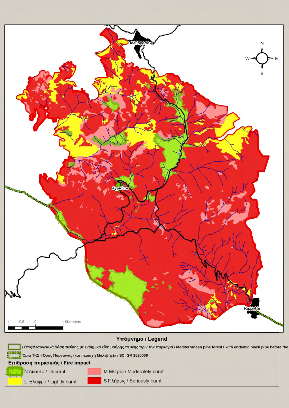 Αποτελέσματα αποτίμησης Περίγραμμα και βαθμός επίδρασης πυρκαγιάς Εντός του Τόπου Κοινοτικής Σημασίας «Όρος Πάρνωνας και περιοχή Μαλεβής» κάηκαν: 5788 ha (9,6%