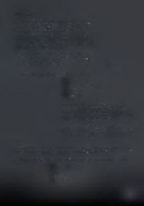 1.2.8. Κόνδυλοι Οι κόνδυλοι διαφέρουν από ποικιλία σε ποικιλία, έχουν διαφορετικό σχήμα, μέγεθος και χρώμα επιδερμίδας και σάρκας.