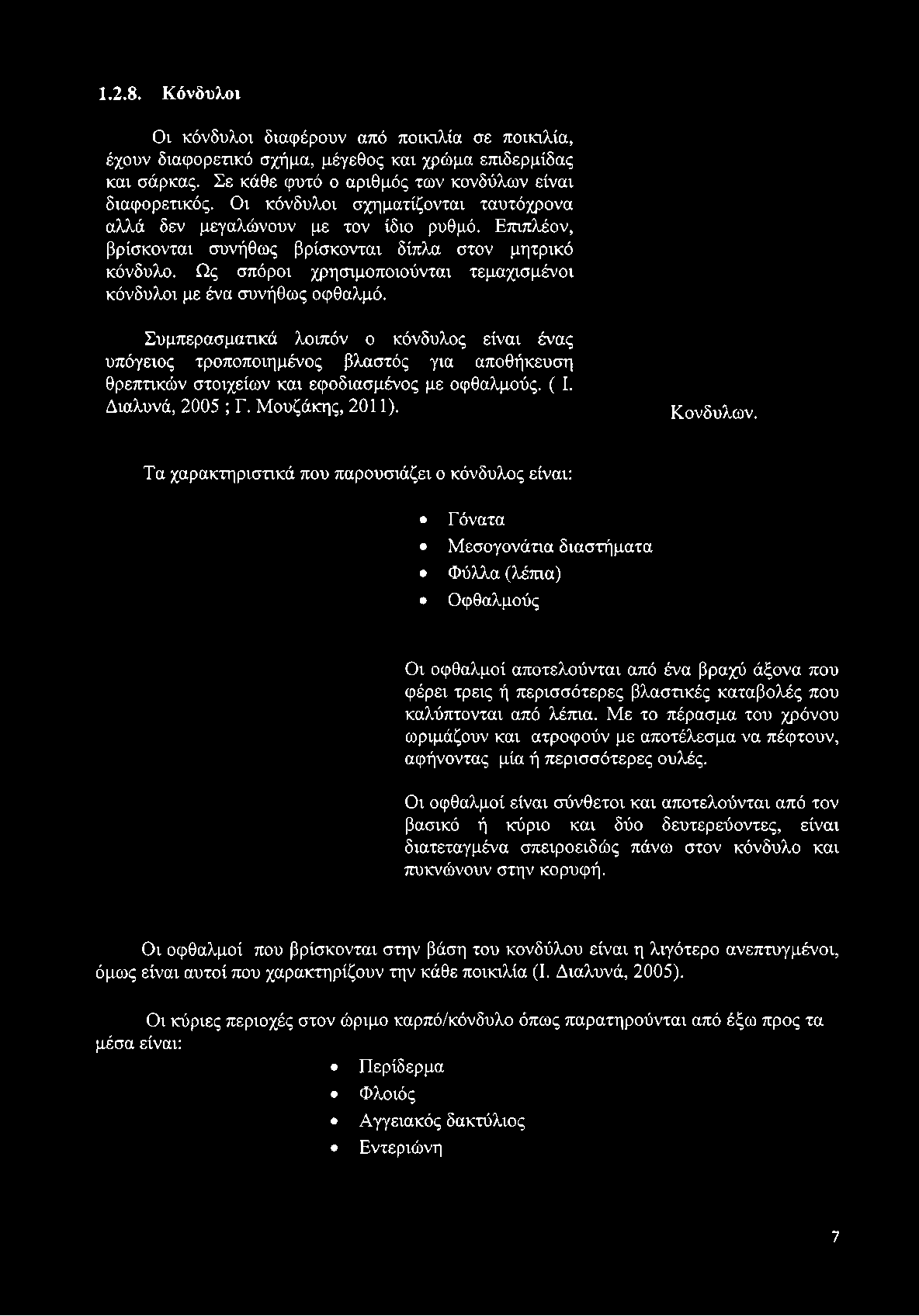 Επιπλέον, βρίσκονται συνήθως βρίσκονται δίπλα στον μητρικό κόνδυλο. Ως σπόροι χρησιμοποιούνται τεμαχισμένοι κόνδυλοι με ένα συνήθως οφθαλμό.