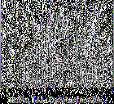 Μουζάκης, 2011). Κονδύλων.