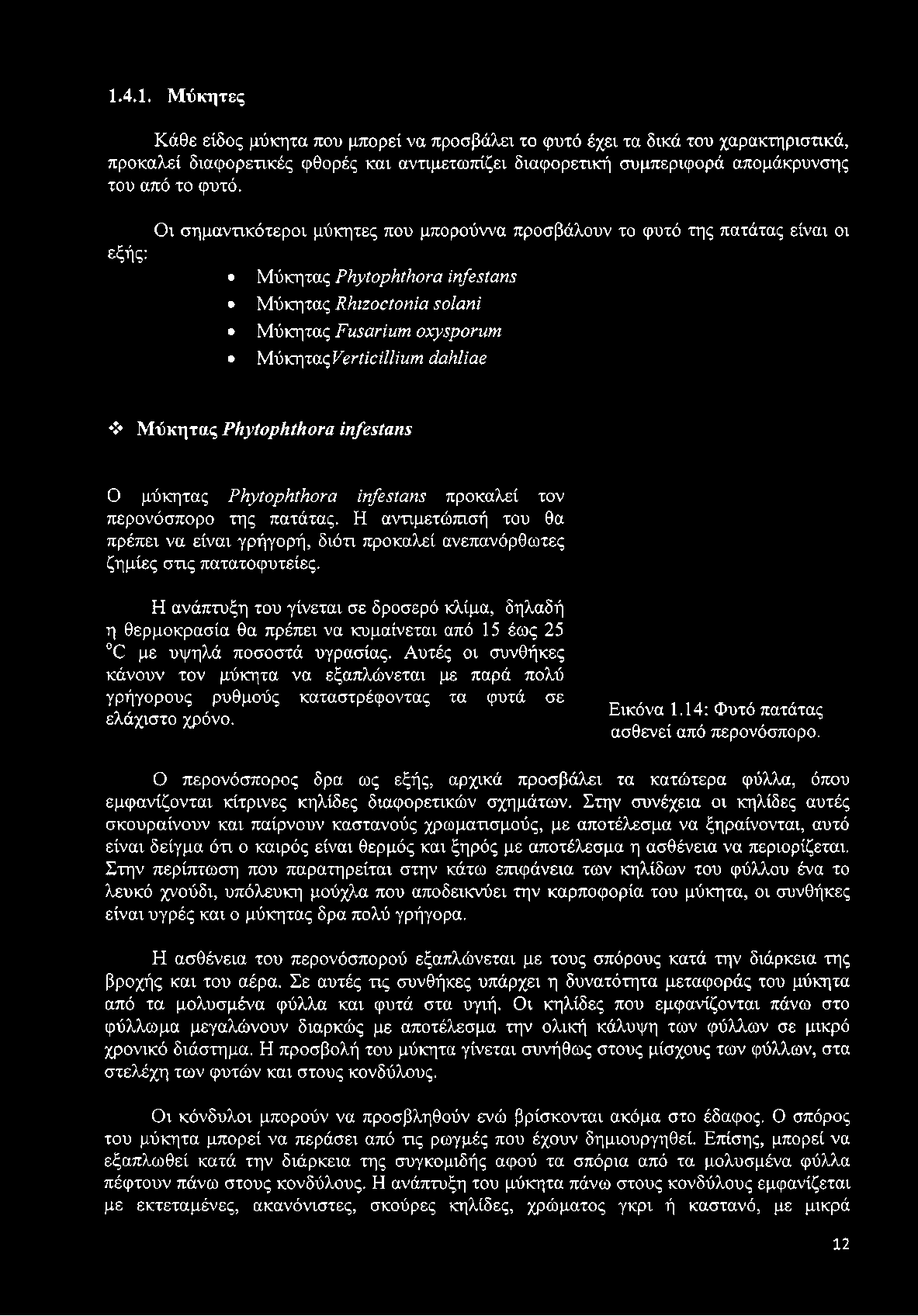 Μύκητας Phytophthora infestans Ο μύκητας Phytophthora infestans προκαλεί τον περονόσπορο της πατάτας.