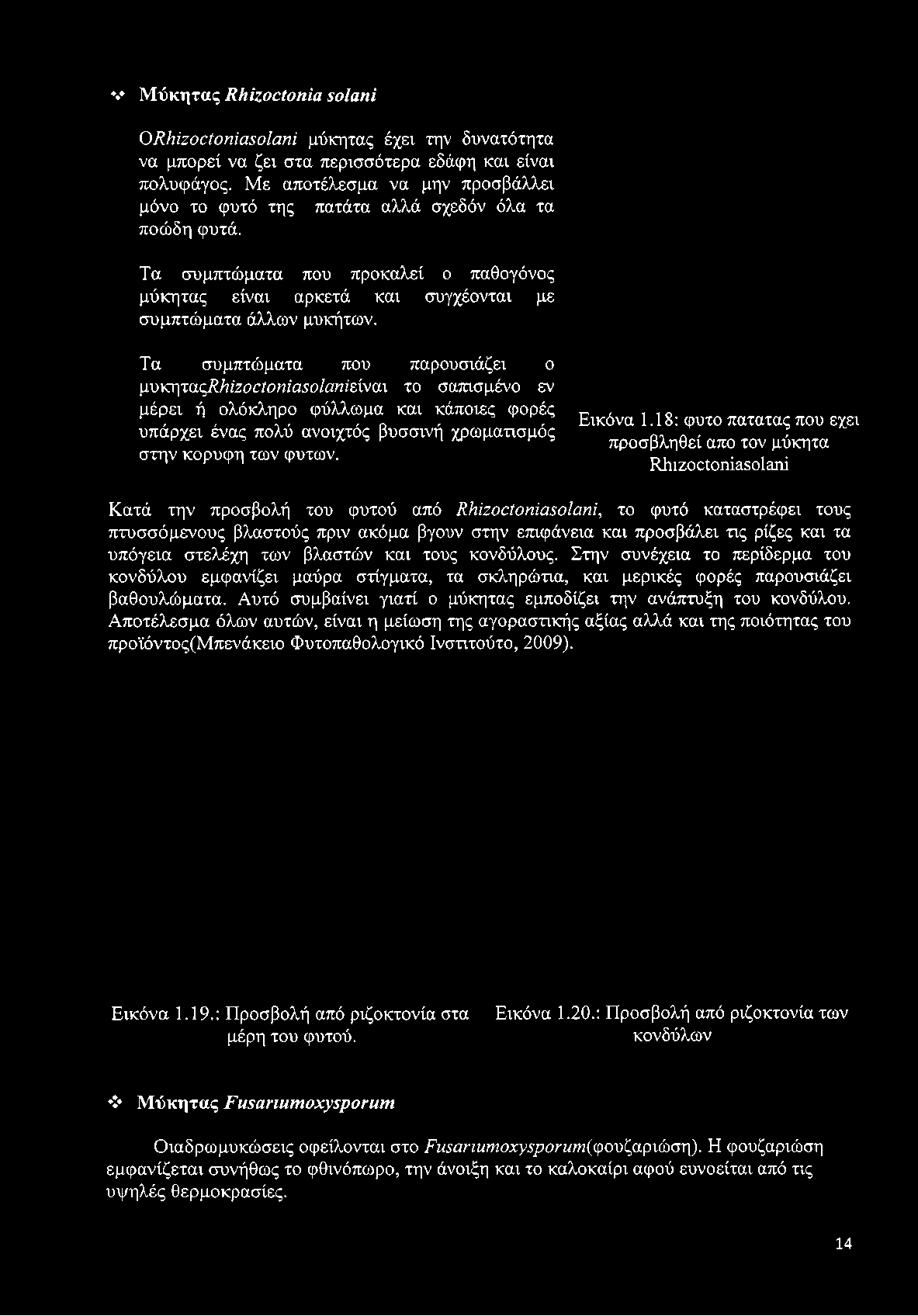 Τα συμπτώματα που προκαλεί ο παθογόνος μύκητας είναι αρκετά και συγχέονται με συμπτώματα άλλων μυκήτων.