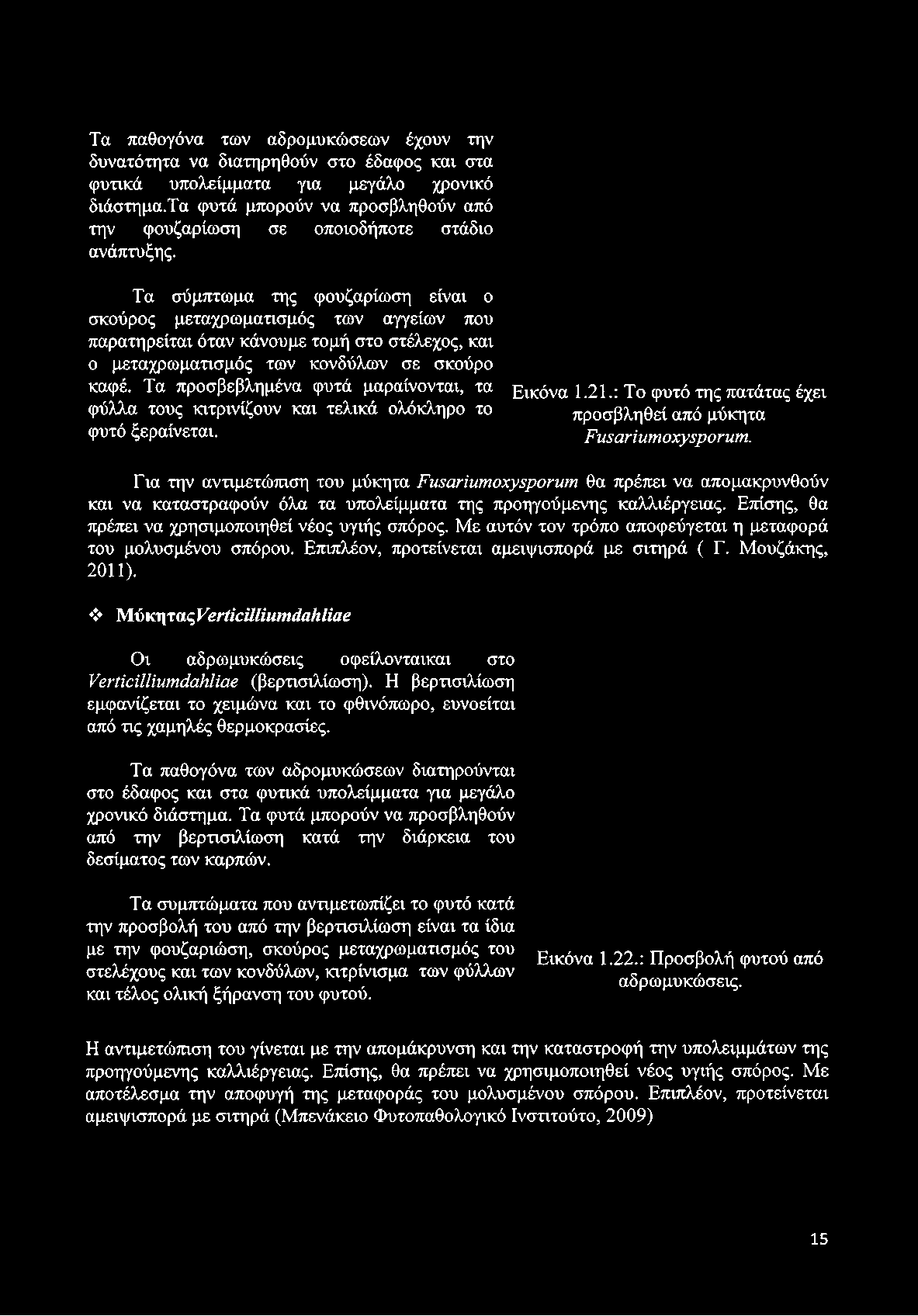 Τα σύμπτωμα της φουζαρίωση είναι ο σκούρος μεταχρωματισμός των αγγείων που παρατηρείται όταν κάνουμε τομή στο στέλεχος, και ο μεταχρωματισμός των κονδύλων σε σκούρο καφέ.