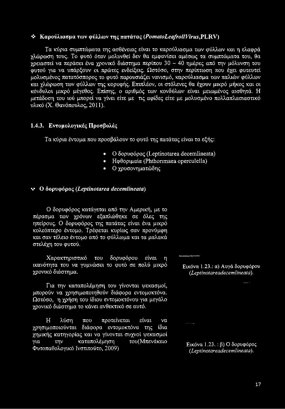 Ωστόσο, στην περίπτωση που έχει φυτευτεί μολυσμένος πατατόσπορος το φυτό παρουσιάζει νανισμό, καρούλιασμα των παλιών φύλλων και χλώρωση των φύλλων της κορυφής.
