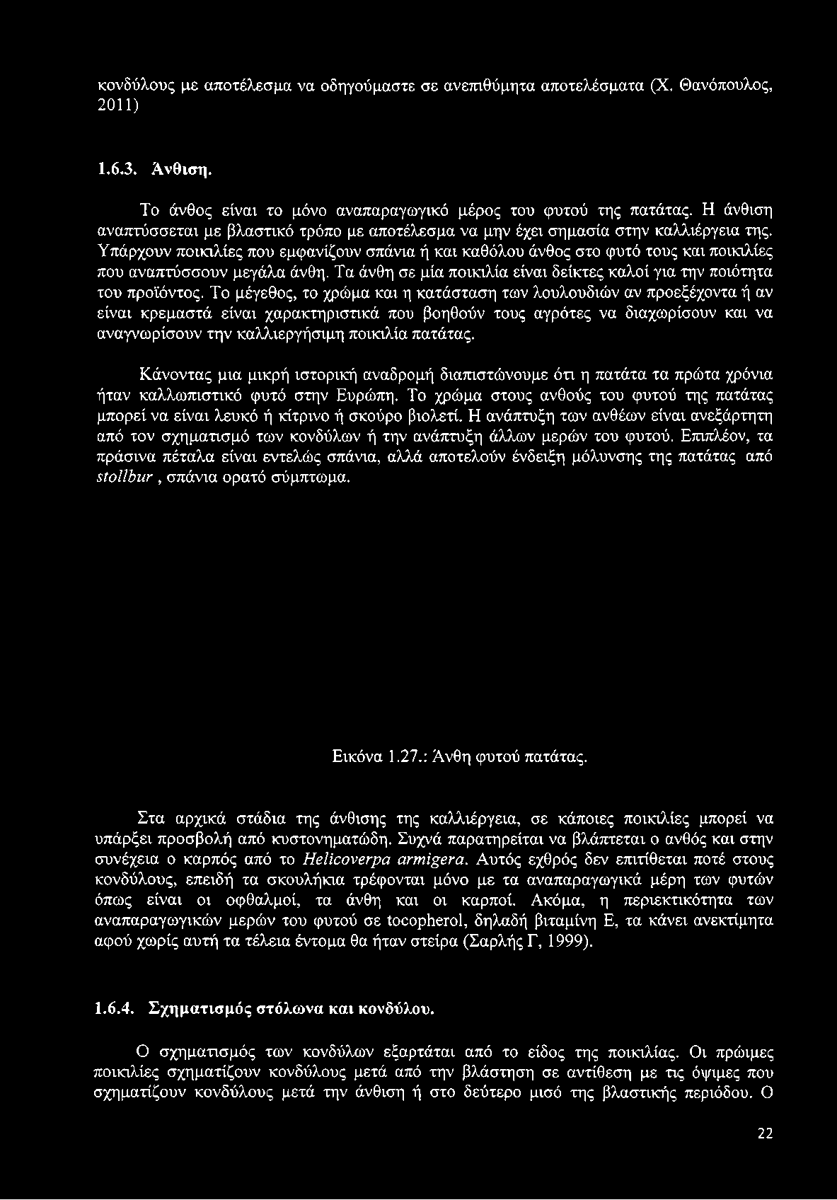 Υπάρχουν ποικιλίες που εμφανίζουν σπάνια ή και καθόλου άνθος στο φυτό τους και ποικιλίες που αναπτύσσουν μεγάλα άνθη. Τα άνθη σε μία ποικιλία είναι δείκτες καλοί για την ποιότητα του προϊόντος.