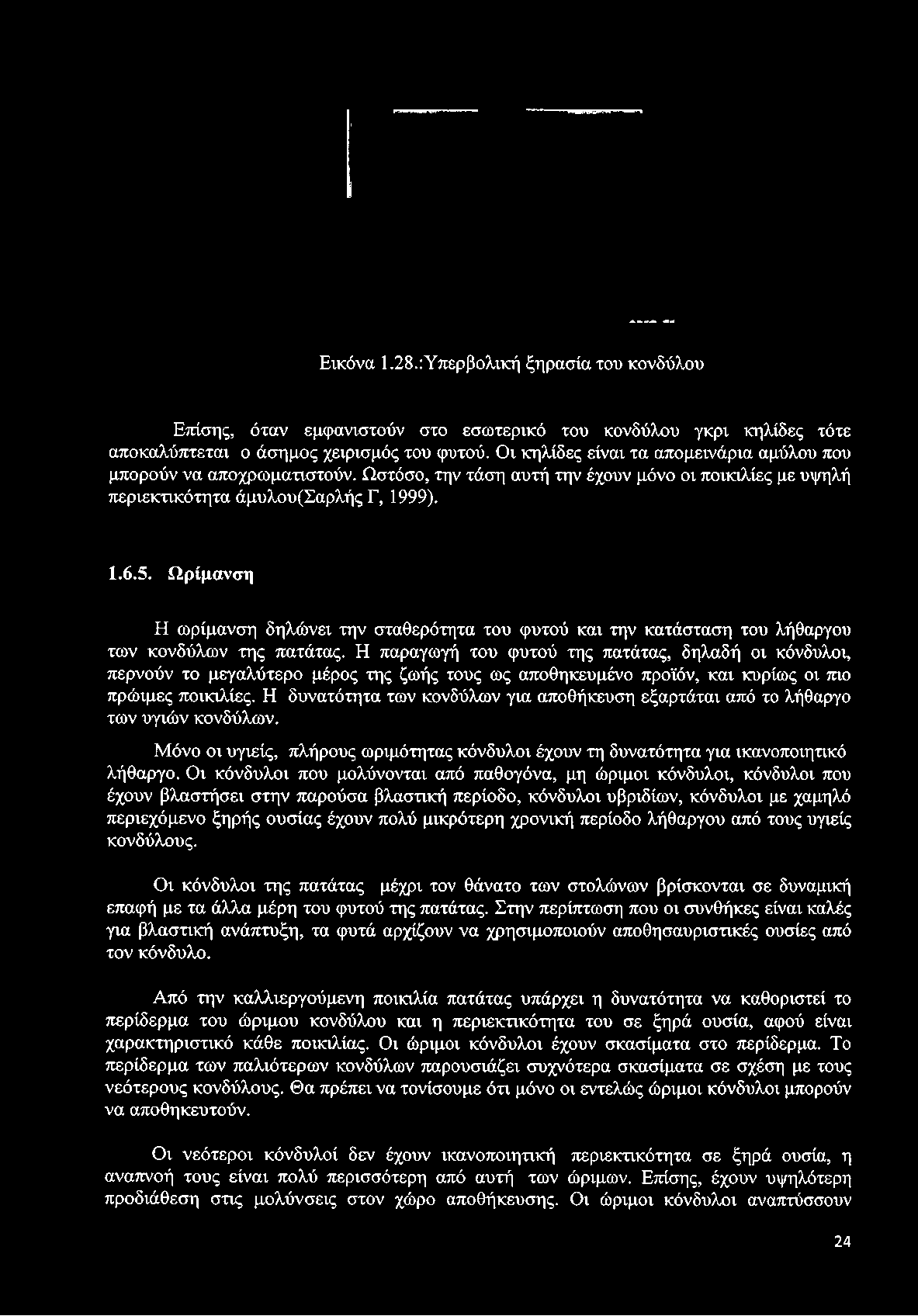 Ωρίμανση Η ωρίμανση δηλώνει την σταθερότητα του φυτού και την κατάσταση του λήθαργου των κονδύλων της πατάτας.
