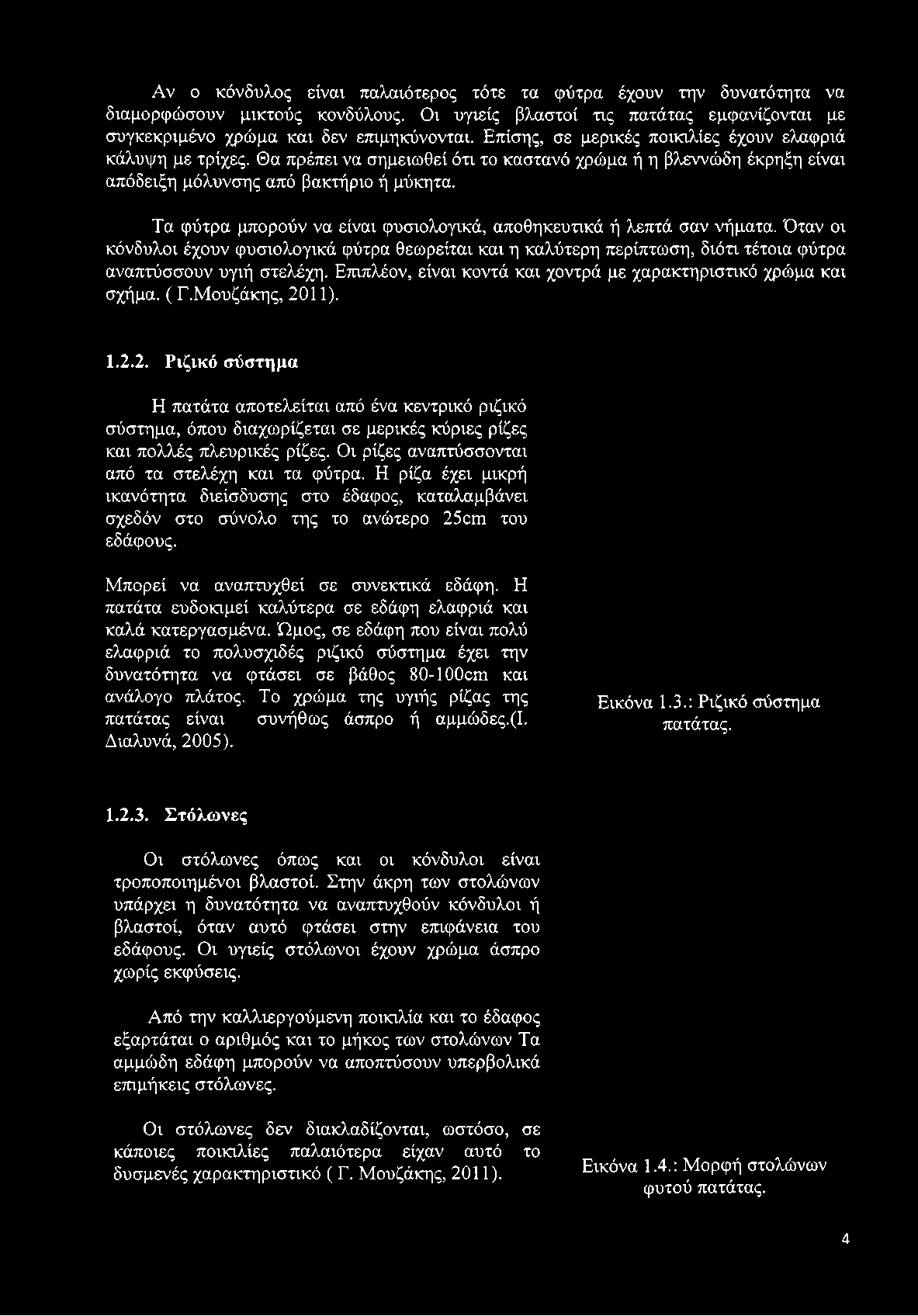 Τα φύτρα μπορούν να είναι φυσιολογικά, αποθηκευτικά ή λεπτά σαν νήματα. Όταν οι κόνδυλοι έχουν φυσιολογικά φύτρα θεωρείται και η καλύτερη περίπτωση, διότι τέτοια φύτρα αναπτύσσουν υγιή στελέχη.