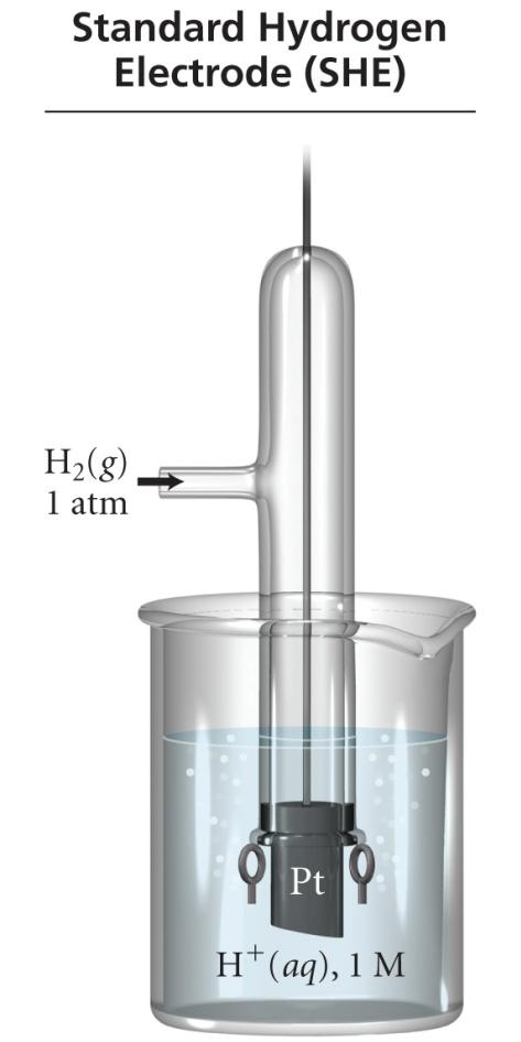 Πρότυπο δυναμικό αναγωγής Μία ημιαντίδραση με ισχυρή τάση να πραγματοποιηθεί έχει θετικό (+) δυναμικό ημιστοιχείου Όταν δύο ημιστοιχεία συνδέονται, τα ηλεκτρόνια ρέουν από την αντίδραση με την