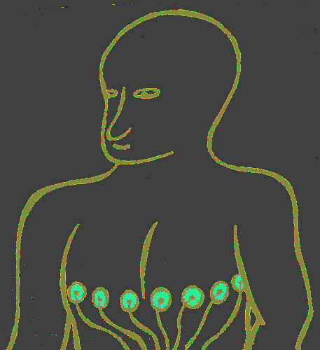 WHY the non linear Fourier transform?