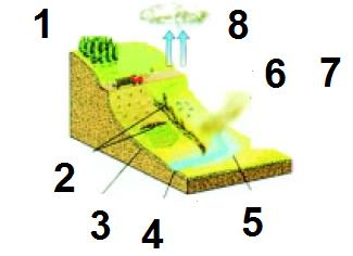 6. Σταθερή ροή ποταμού 7. Εξάτμιση και διαπνοή 1. Δενδροκαλλιέργεια 2. Απότομες ρεματιές, χείμαρροι, κατολισθήσεις. 3.