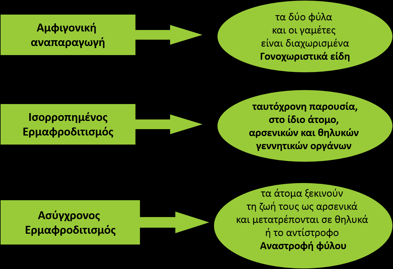 Τύποι