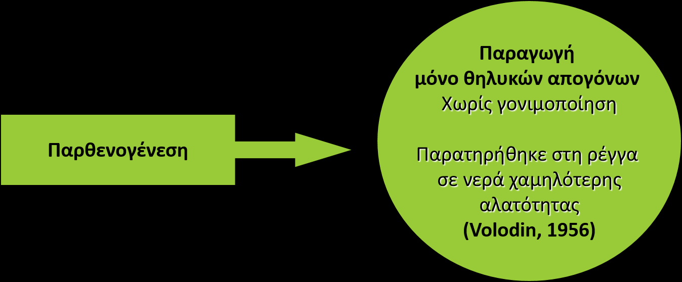 Τύποι