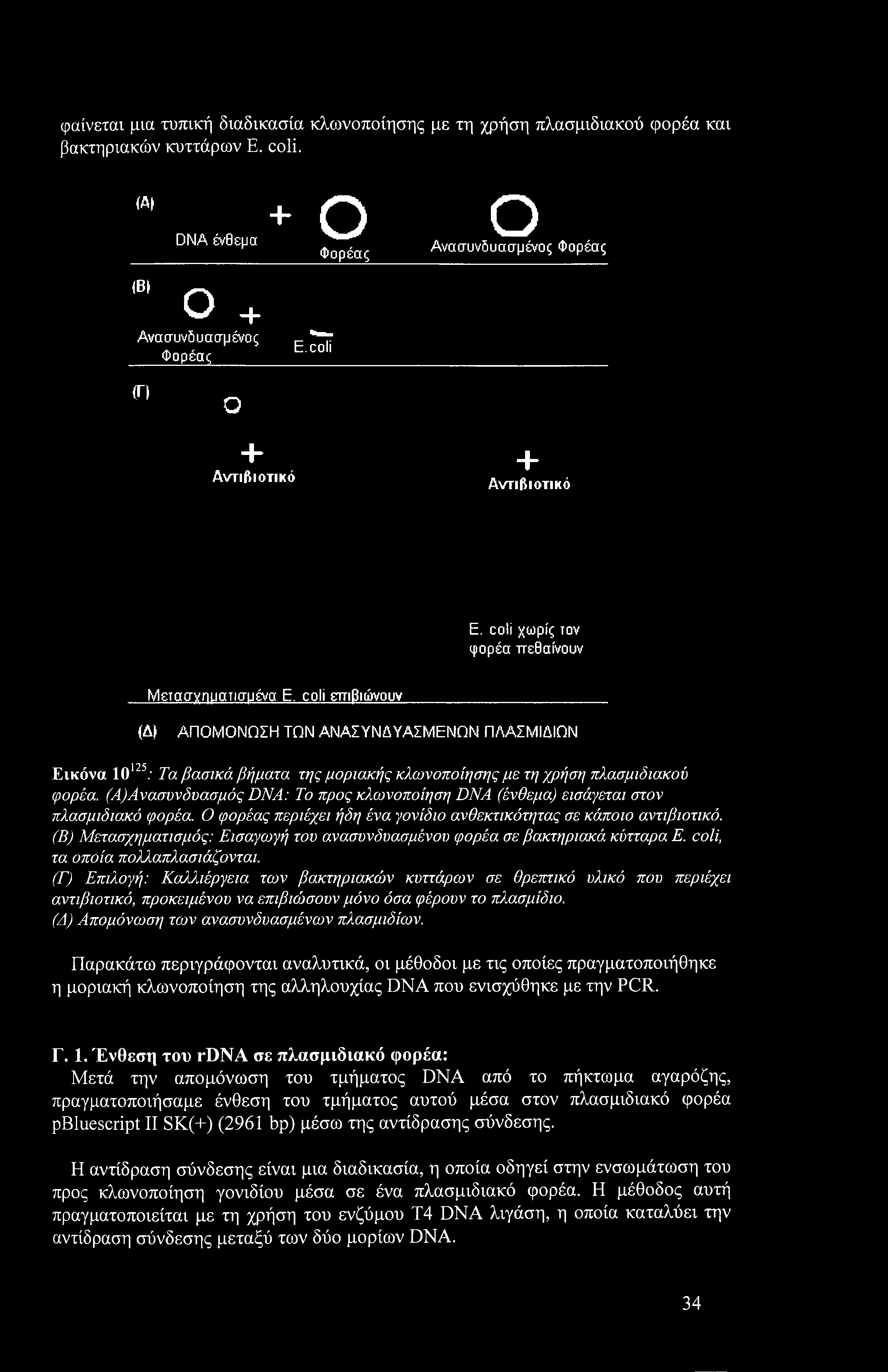 coli επιβιώνουν (Δ) ΑΠΟΜΟΝΩΣΗ ΤΩΝ ΑΝΑΣΥΝΔΥΑΣΜΕΝΩΝ ΠΛΑΣΜΙΔΙΩΝ Εικόνα ΙΟ125: Τα βασικά βήματα της μοριακής κλωνοποίησης με τη χρήση πλασμιδιακού φορέα.
