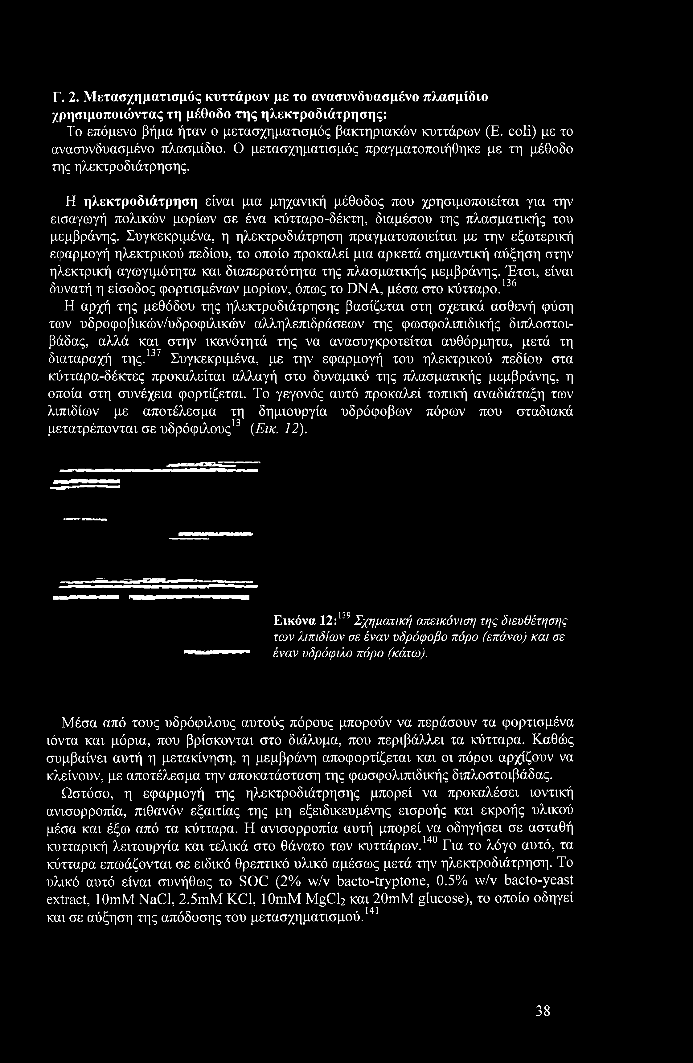 Η ηλεκτροδιάτρηση είναι μια μηχανική μέθοδος που χρησιμοποιείται για την εισαγωγή πολικών μορίων σε ένα κύτταρο-δέκτη, διαμέσου της πλασματικής του μεμβράνης.