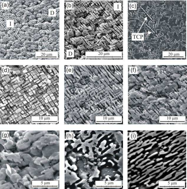 Obr. 5 Snímky sú zo SEM. Ilustrujú morfológiu fáz gama a gama' v superzliatine CMSX-4 po vystavení dlhodobému stárnutiu (1000 C, 2000h). Snímané plochy vzorky sú v rovine (001).