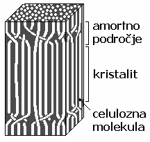 Celuloza v oleseneli celični steni Nitaste celulozne molekule se med seboj povezujejo v mikrofibrile, na katerih se izmenjavajo kristalinski in amorfni pasovi.