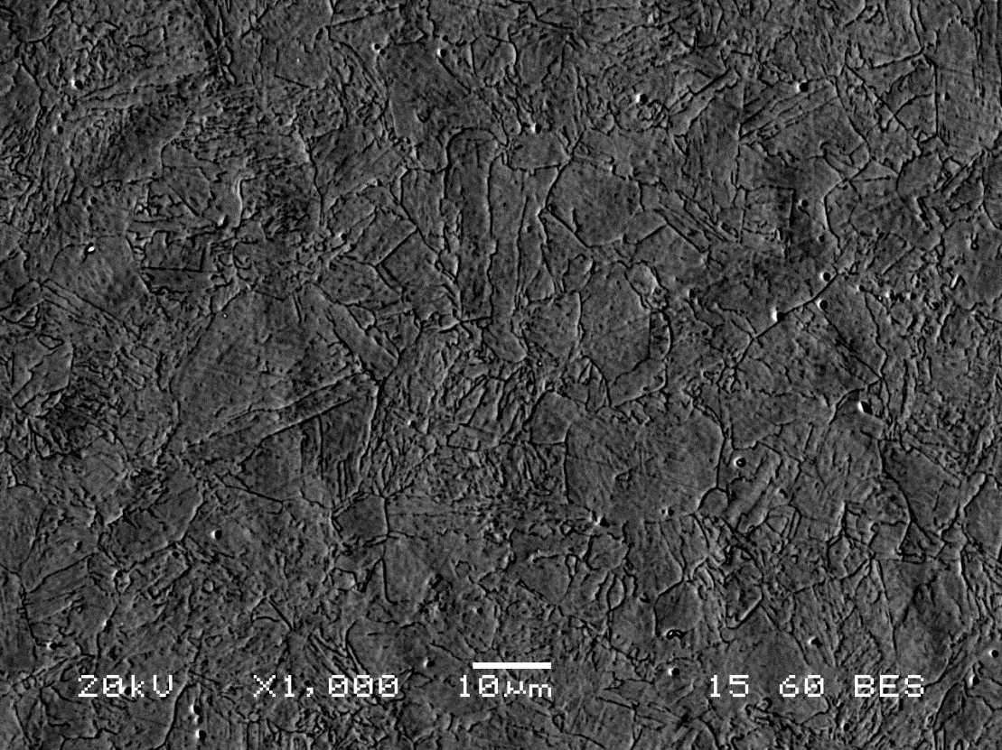 Εικόνα 5.2 : Ηλεκτρονική μικρογραφία οπισθοσκεδαζώμενων ηλεκτρονίων (SEM), της μικροδομής μετά από ωστενιτοποίηση και βαφή 5.1.