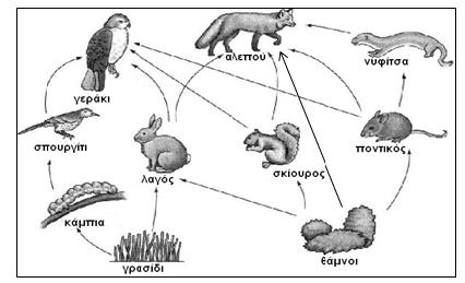 ΜΕΡΟΣ Γ : Μονάδες 6 Αποτελείται από τρία (3) θέματα. Κάθε ορθή απάντηση βαθμολογείται με τρεις (3) μονάδες. Από τα τρία (3) θέματα να απαντήσετε ΜΟΝΟ στα δύο (2).