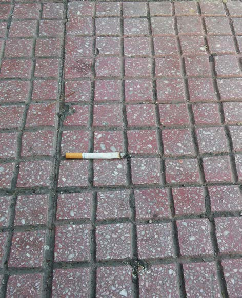 Και μία γόπα. Τι το ιδιαίτερο μπορεί να έχει; Καταρχήν είναι ολόκληρη. Που σημαίνει ότι ο άνθρωπος αυτός δεν πρόλαβε να την ευχαριστηθεί.