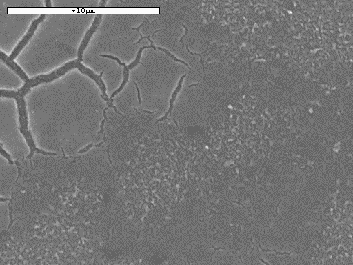 Τέλος, στο Σχήμα 5 24 παρουσιάζονται εικόνες από το ηλεκτρονικό μικροσκόπιο των επικαθήσεων του σιδήρου που έχουν σχηματιστεί πάνω σε μεμβράνη αντίστροφης