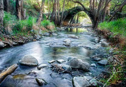 Μετά τη επίσκεψη μας αναχωρούμε για την Λεμεσό άφιξη στο ξενοδοχείο μας τακτοποίηση στα δωμάτια μας και χρόνος ελεύθερος. Δείπνο και διανυκτέρευση.