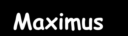 Maximus - Λύση 1. Καθόρισε τη δομή του ομίλου Κοινές μετοχ. Προνομ. Μετοχ. Όμιλος 75 62.5 Μειοψηφία 25 37.5 100% 100% 2.